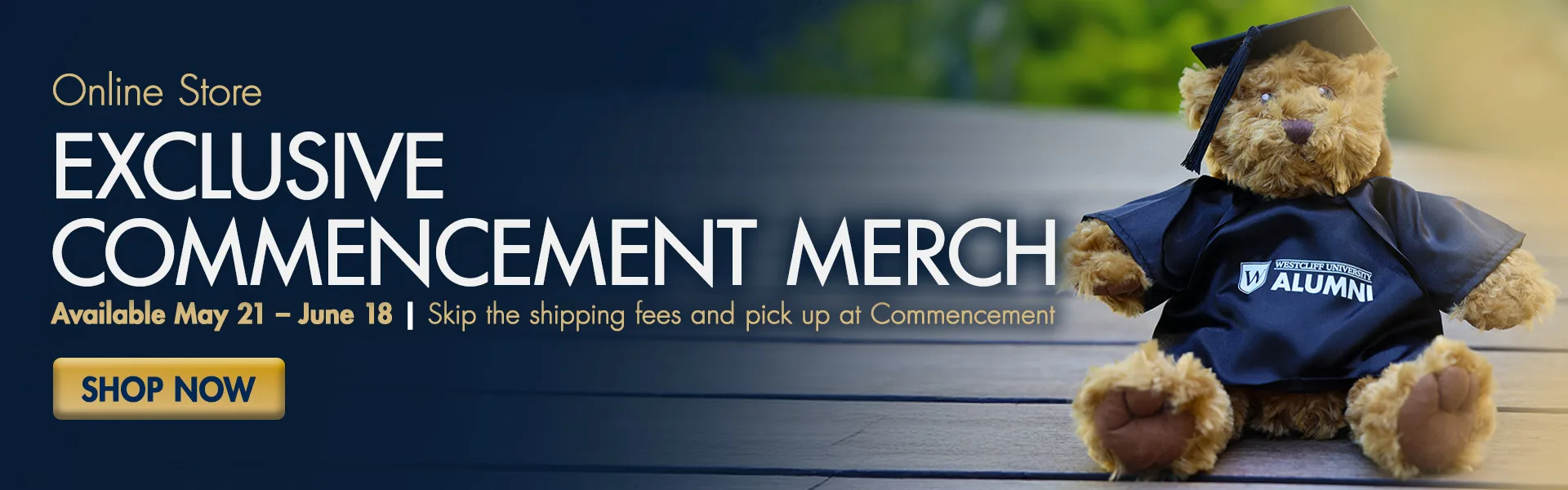 Online-Store-desktop Online-Store-desktop